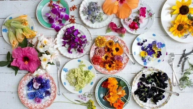 7 Easy Edible Flowers to Grow in Your Garden