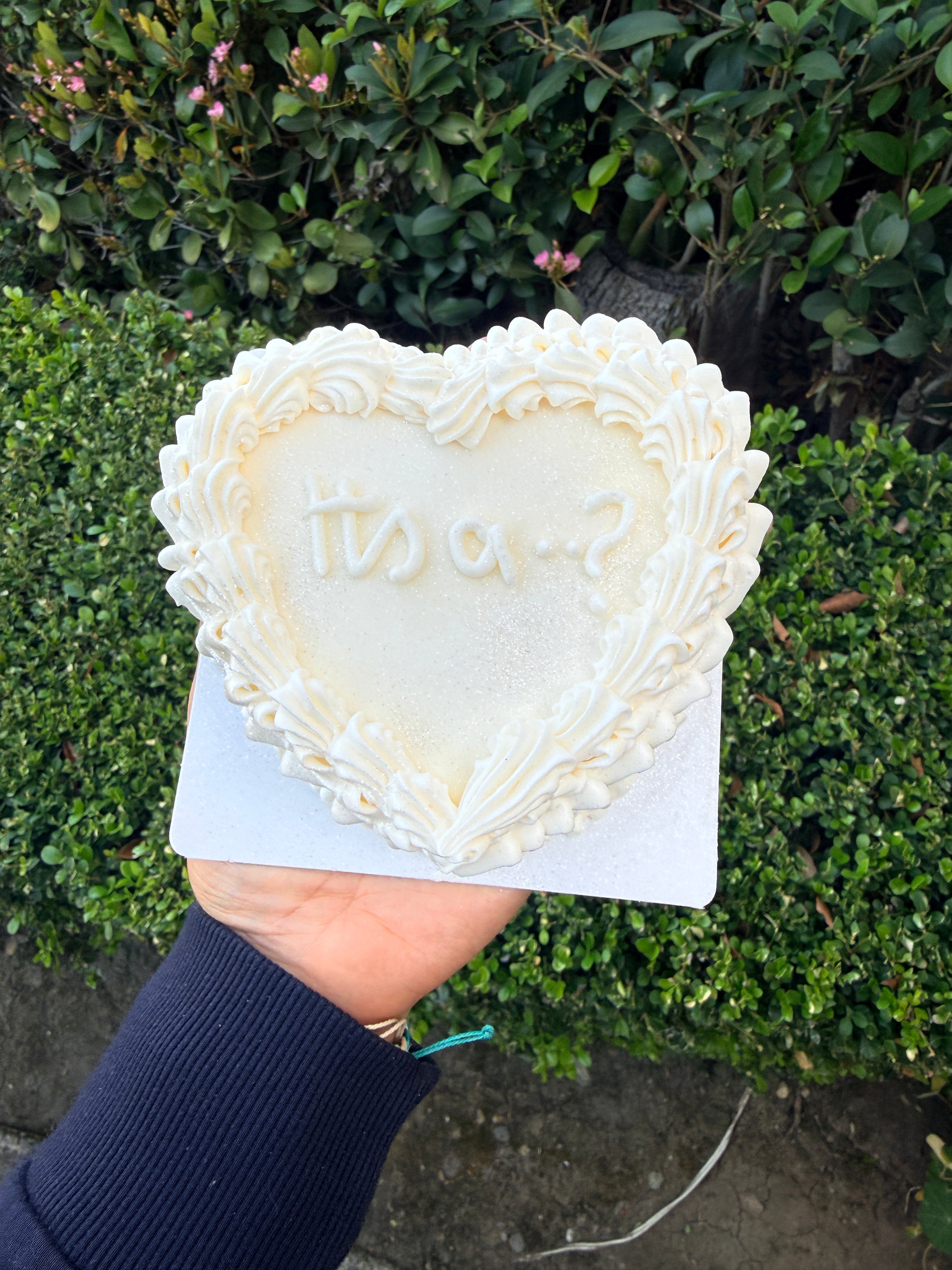 GENDER REVEAL HEART BENTO CAKE