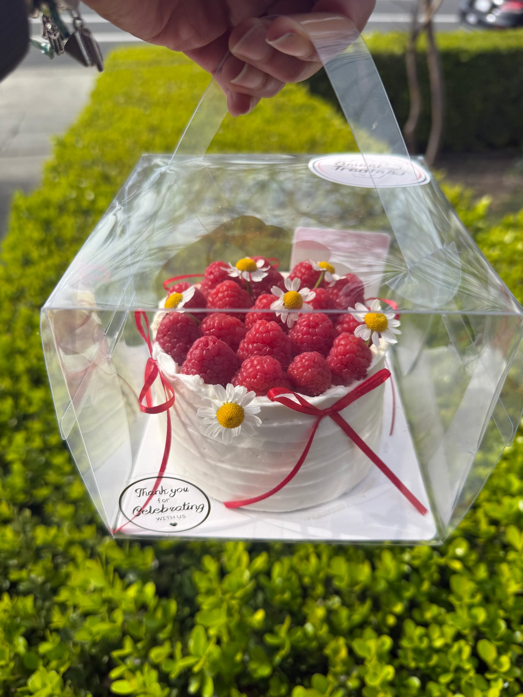 Raspberry Bento Cake