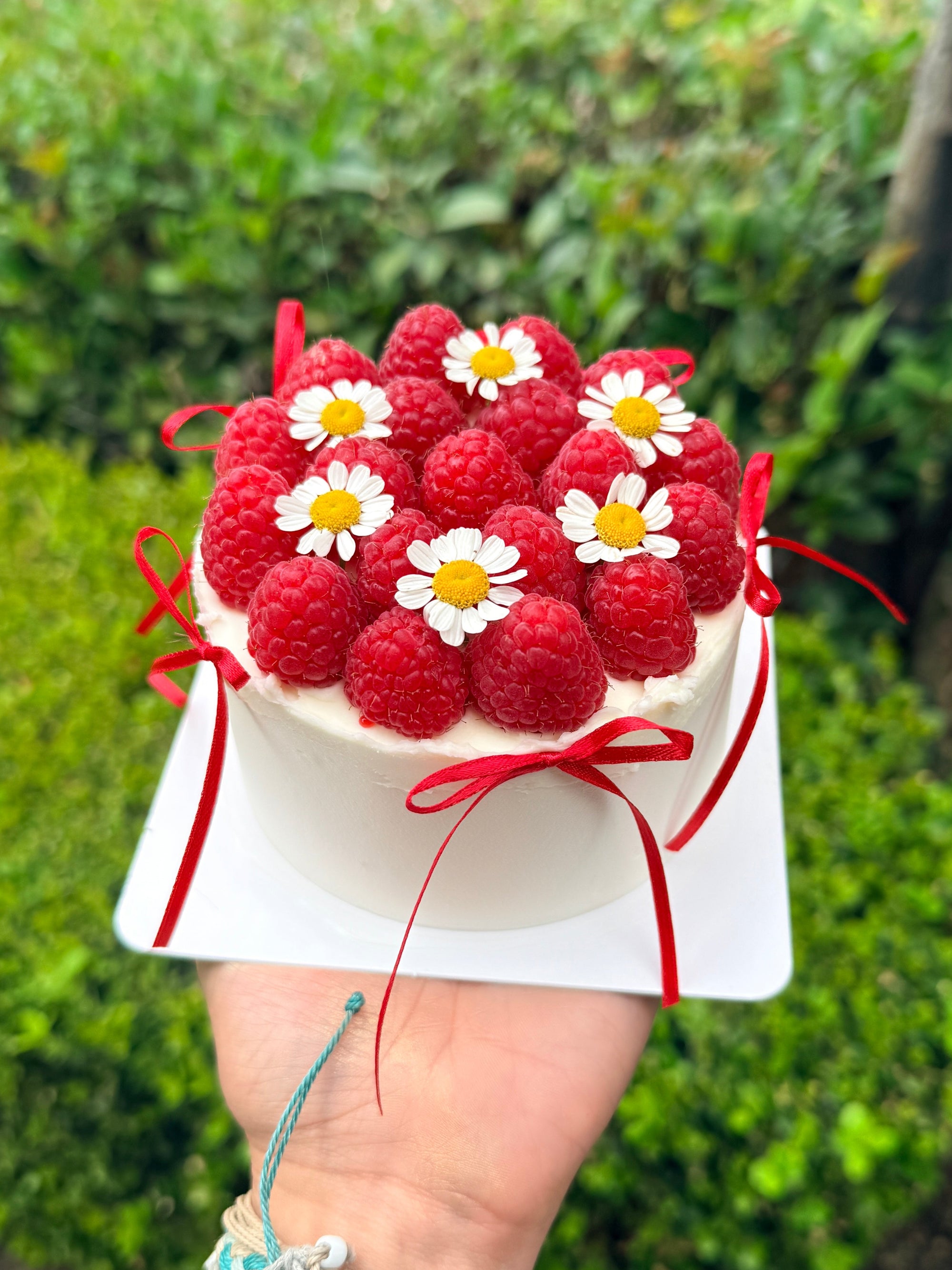 Raspberry Bento Cake